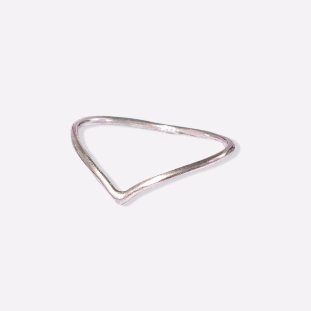 anillo v pata de ley